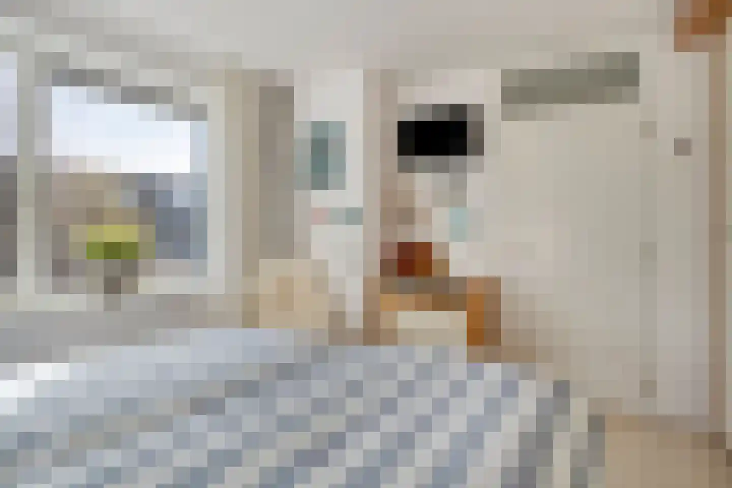 Raadhuisstraat 45 Heemskerk thumbnail 15