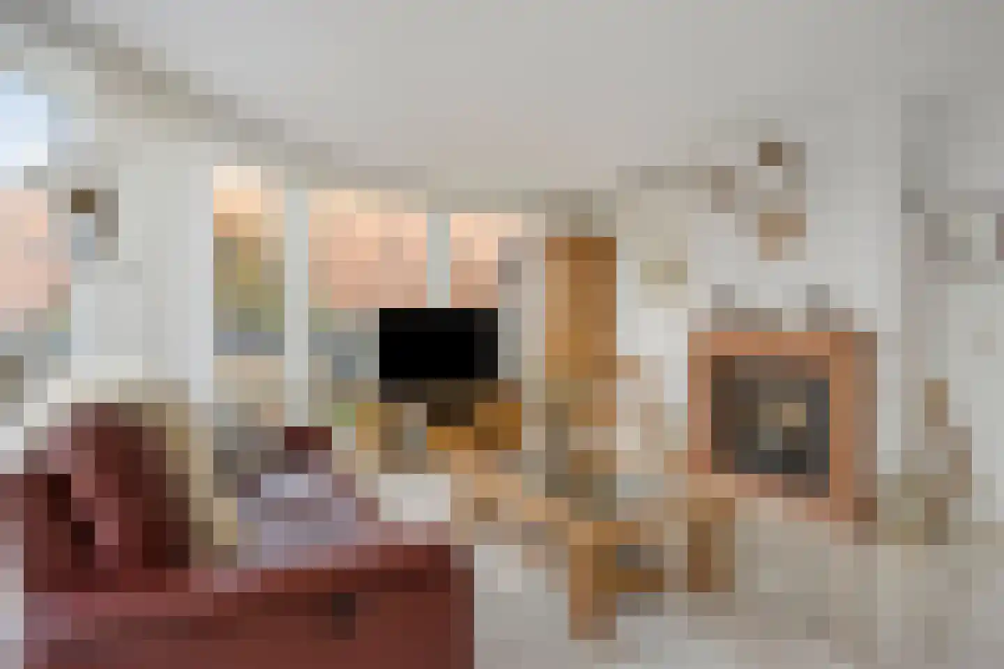 Raadhuisstraat 45 Heemskerk thumbnail 4