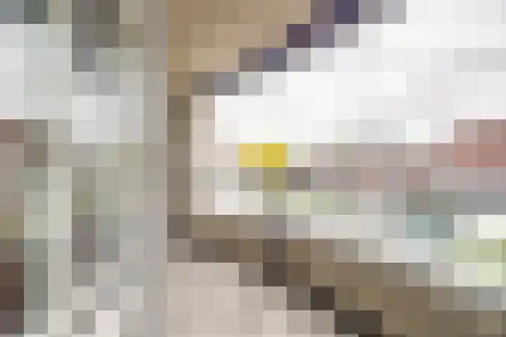Raadhuisstraat 45 Voorburg thumbnail 17
