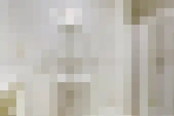 Raadhuisstraat 45 Voorburg thumbnail 19