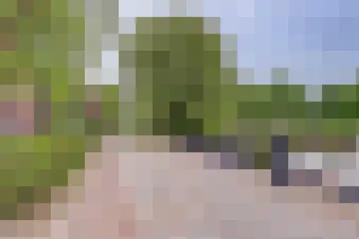 Raadhuisstraat 45 Voorburg thumbnail 25
