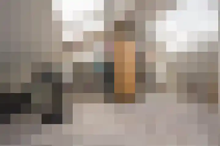 Raadhuisstraat 46 Nijkerk thumbnail 22