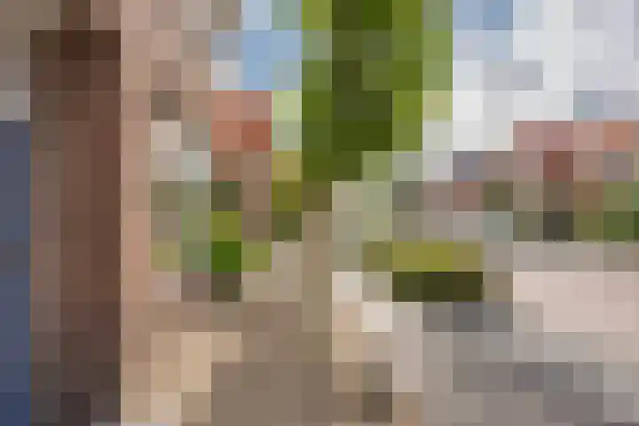 Raadhuisstraat 46 Nijkerk thumbnail 31