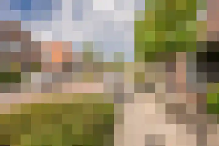 Raadhuisstraat 46 Nijkerk thumbnail 32