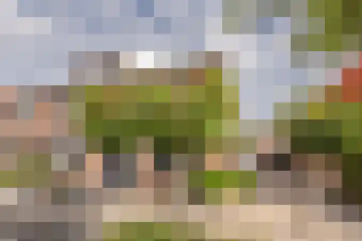 Raadhuisstraat 46 Nijkerk thumbnail 33