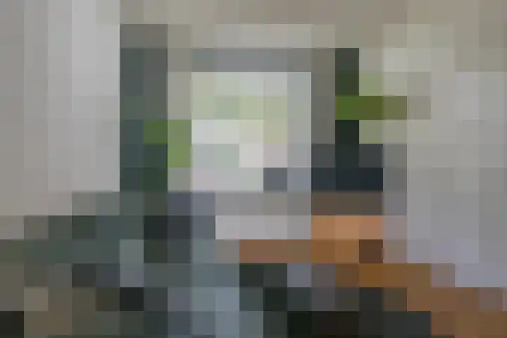 Raadhuisstraat 46 Nijkerk thumbnail 4