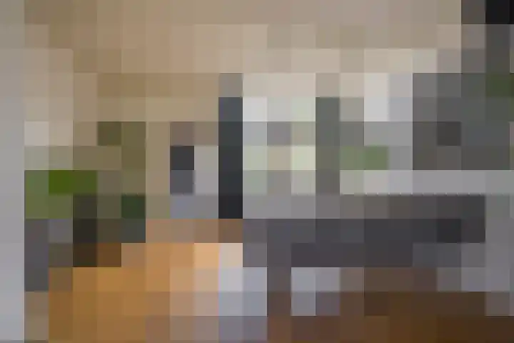 Raadhuisstraat 46 Nijkerk thumbnail 6