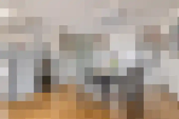 Raadhuisstraat 46 Panningen thumbnail 18