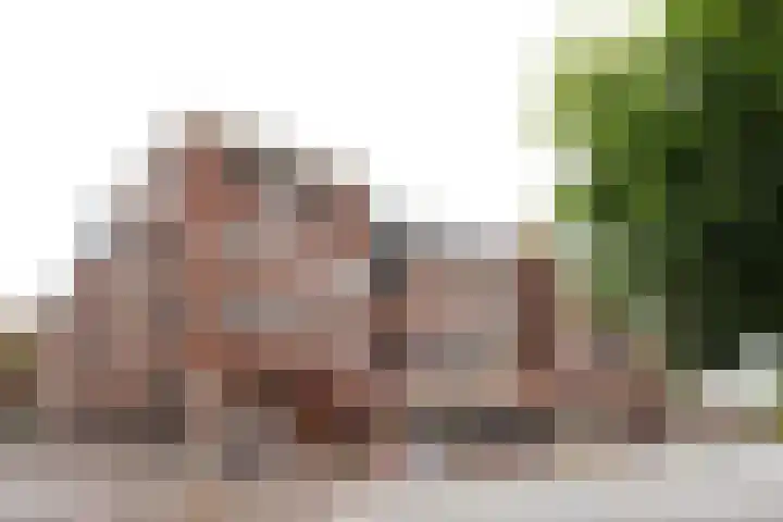 Raadhuisstraat 46 Panningen thumbnail 41