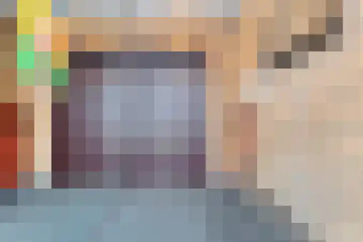 Raadhuisstraat 46 Panningen thumbnail 8