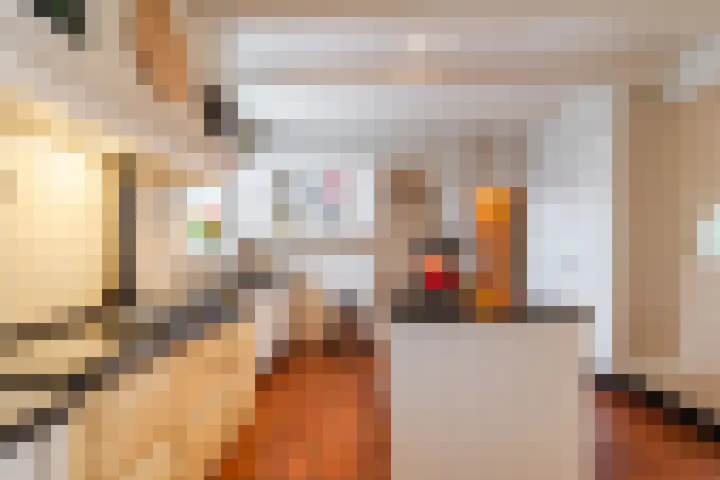 Raadhuisstraat 46 Zuidland thumbnail 10