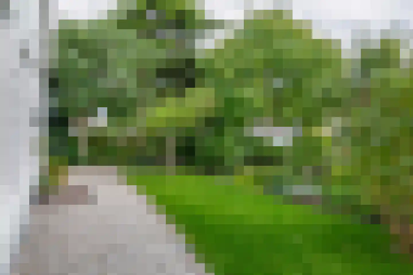 Raadhuisstraat 46 Zuidland thumbnail 11