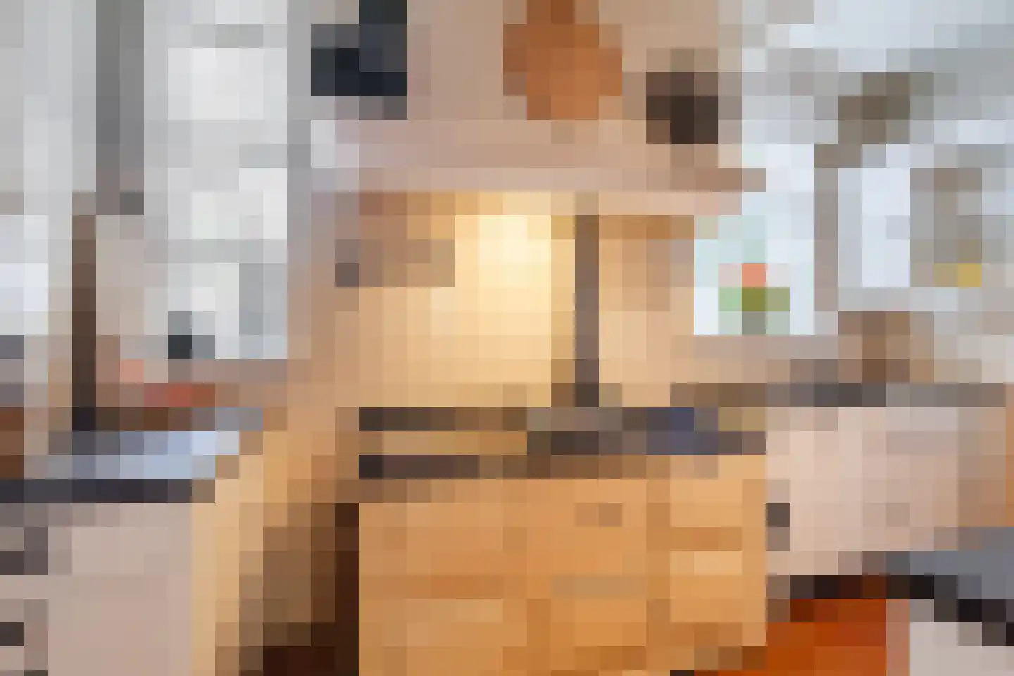 Raadhuisstraat 46 Zuidland thumbnail 11