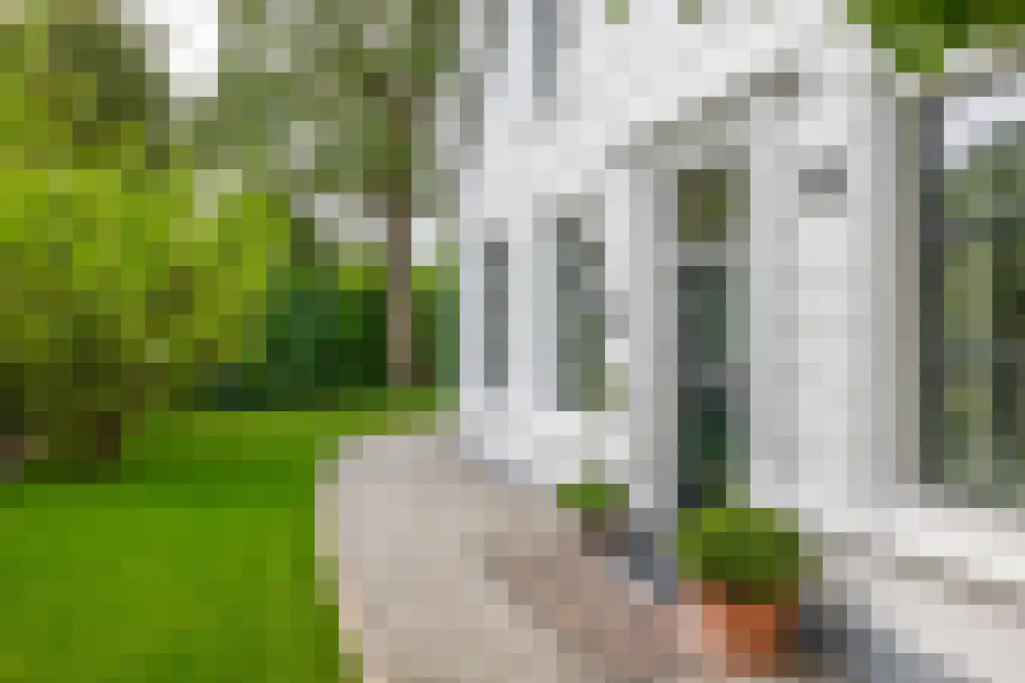Raadhuisstraat 46 Zuidland thumbnail 12