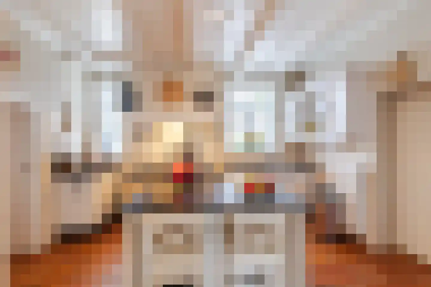 Raadhuisstraat 46 Zuidland thumbnail 12