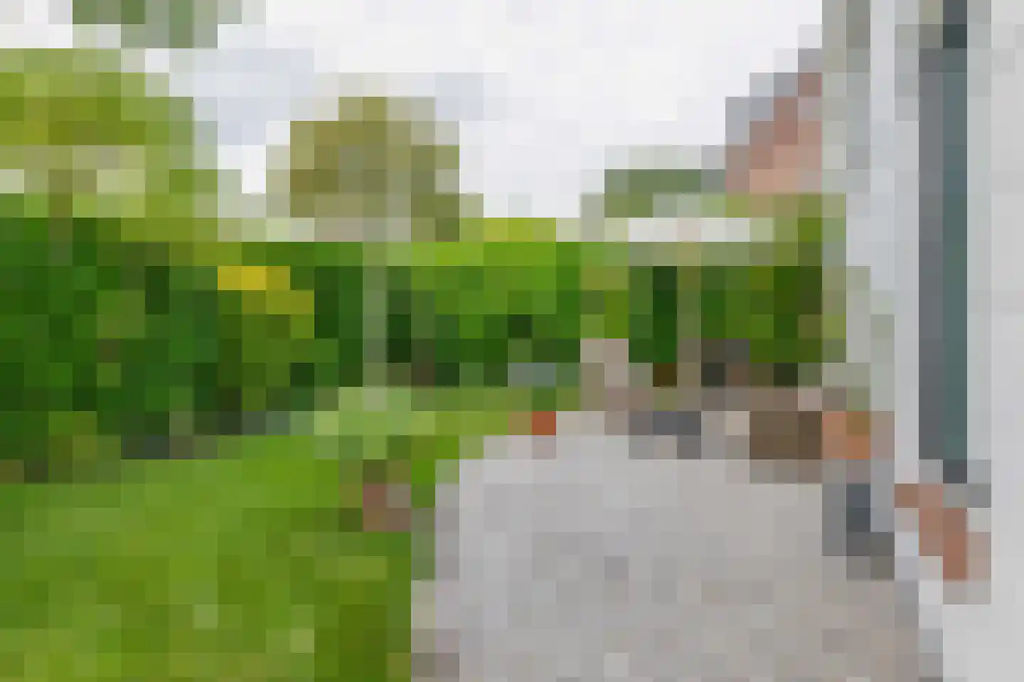 Raadhuisstraat 46 Zuidland thumbnail 13