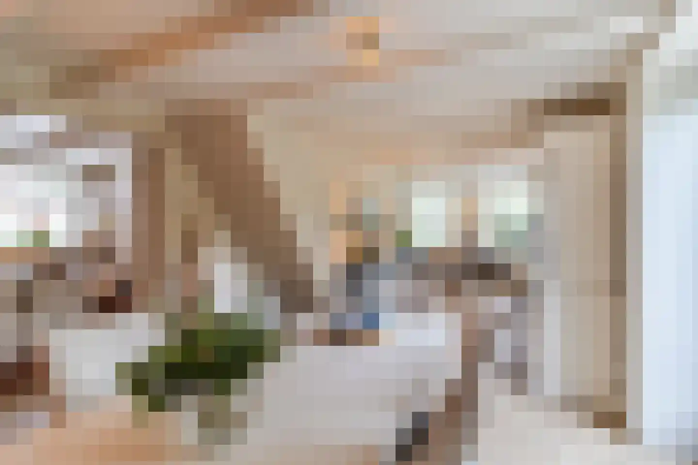Raadhuisstraat 46 Zuidland thumbnail 13
