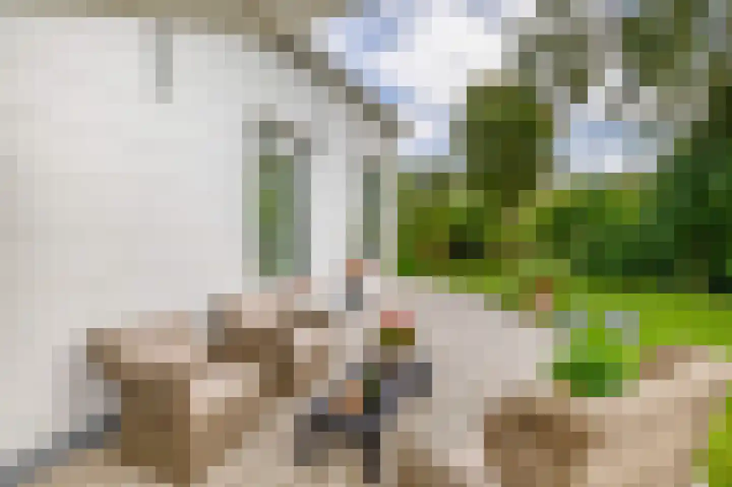 Raadhuisstraat 46 Zuidland thumbnail 14