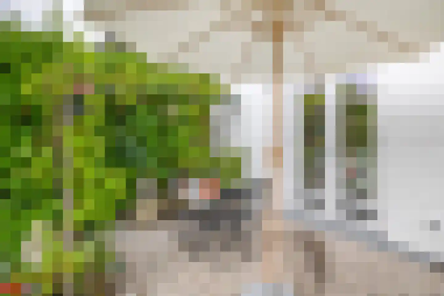 Raadhuisstraat 46 Zuidland thumbnail 15