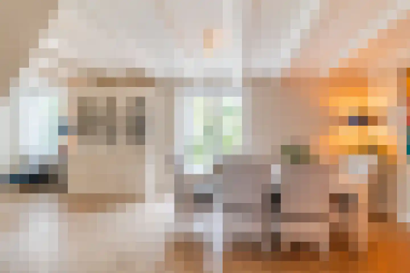 Raadhuisstraat 46 Zuidland thumbnail 19