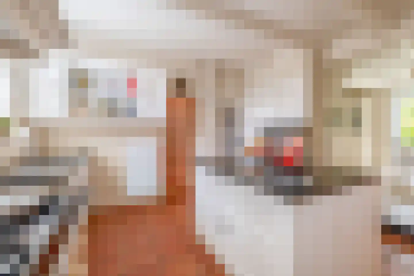 Raadhuisstraat 46 Zuidland thumbnail 20