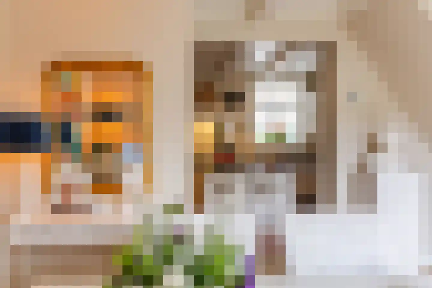 Raadhuisstraat 46 Zuidland thumbnail 21