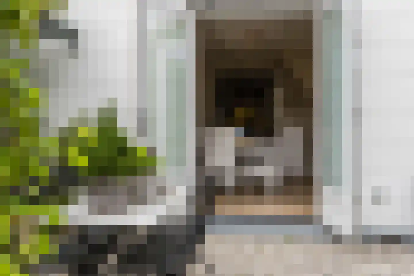 Raadhuisstraat 46 Zuidland thumbnail 23