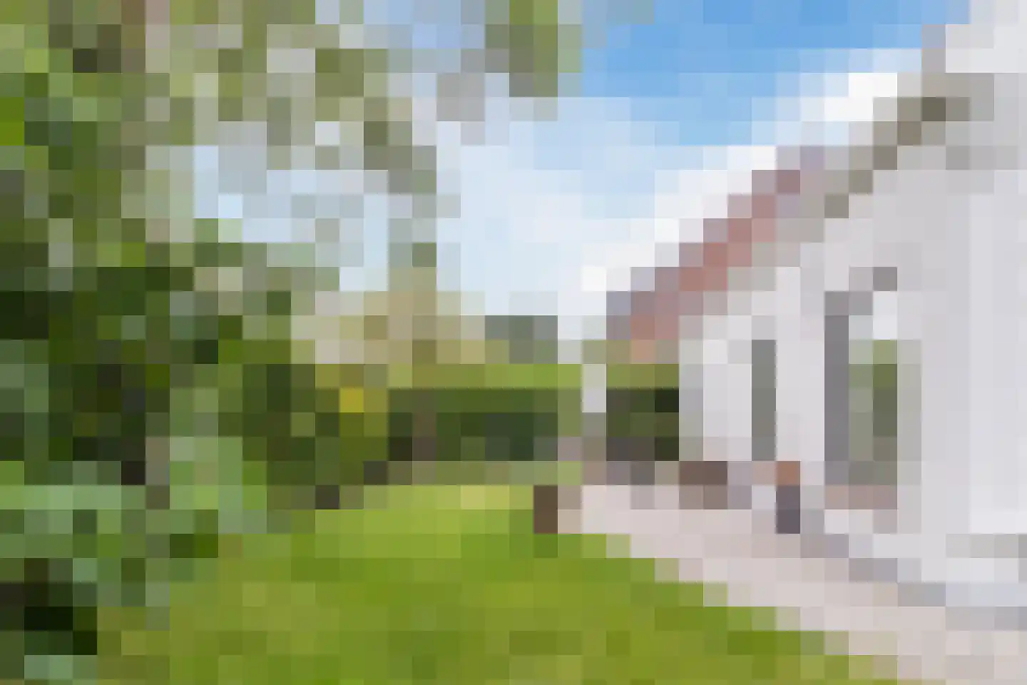 Raadhuisstraat 46 Zuidland thumbnail 27
