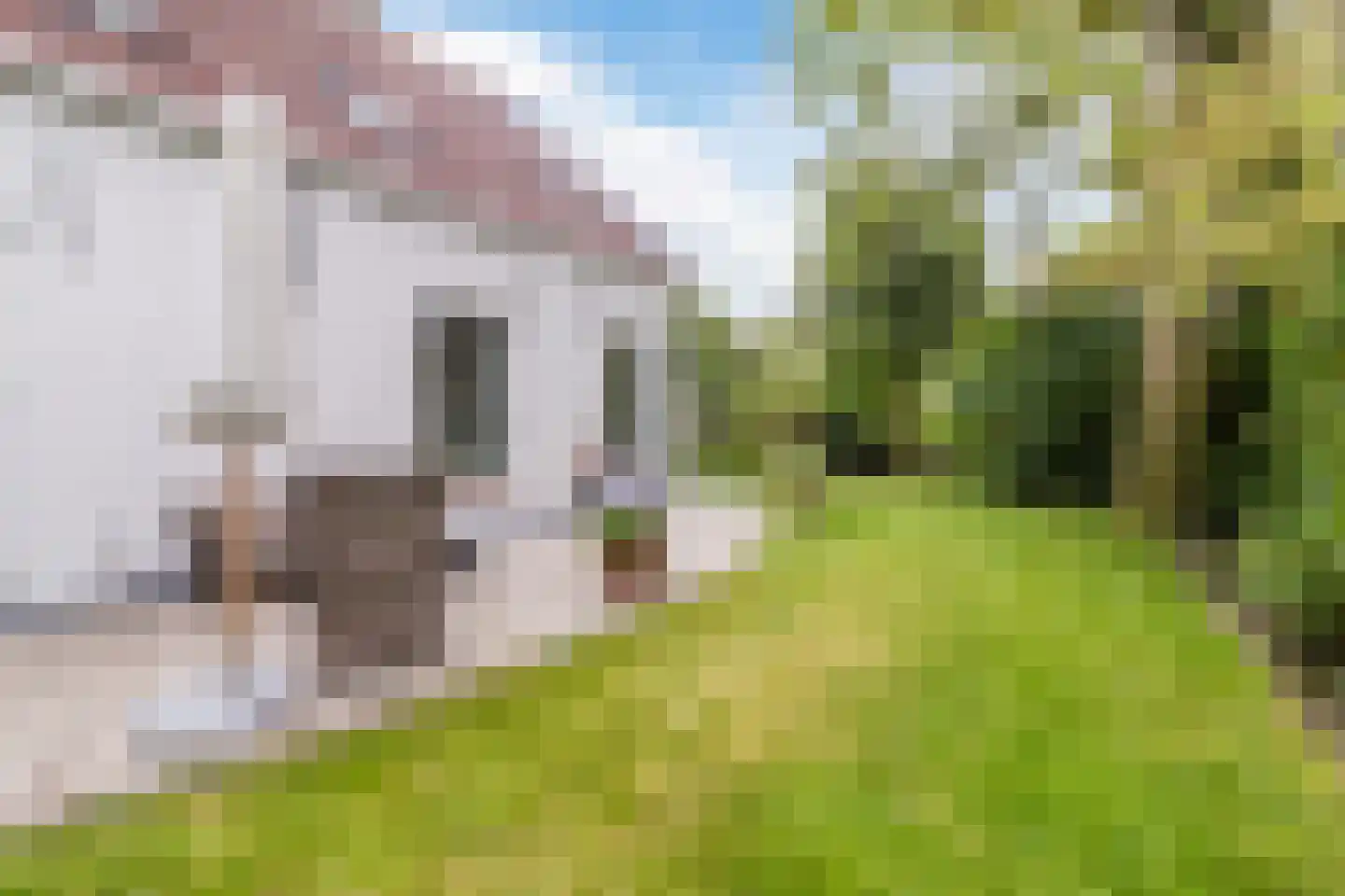 Raadhuisstraat 46 Zuidland thumbnail 29