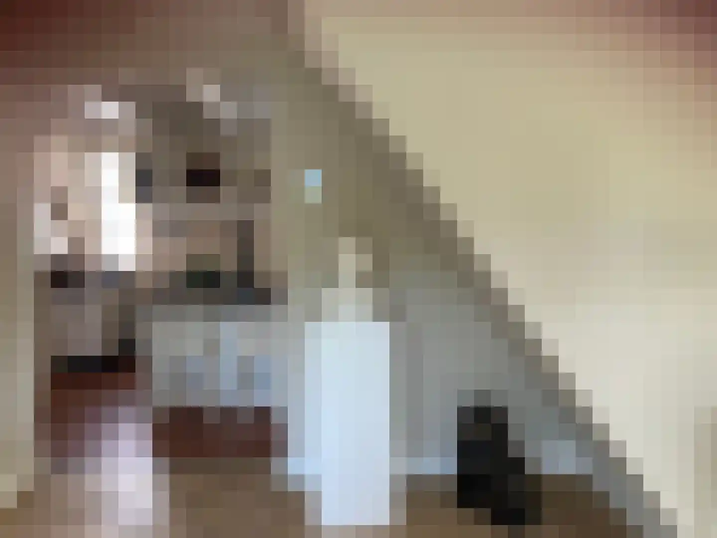 Raadhuisstraat 46 Zuidland thumbnail 33