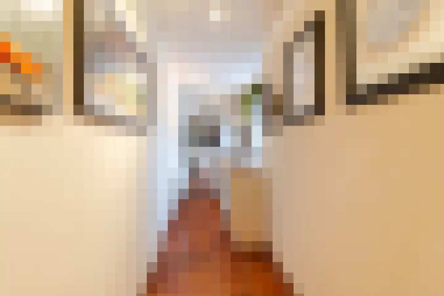 Raadhuisstraat 46 Zuidland thumbnail 34