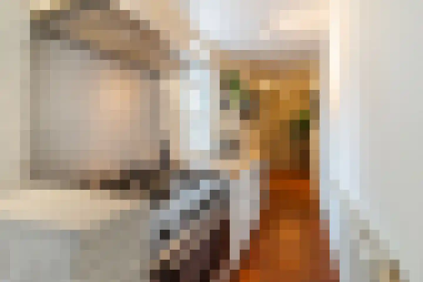 Raadhuisstraat 46 Zuidland thumbnail 35