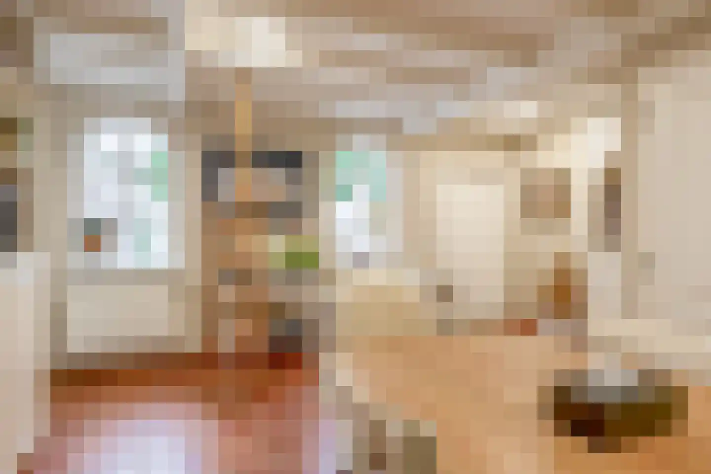 Raadhuisstraat 46 Zuidland thumbnail 36