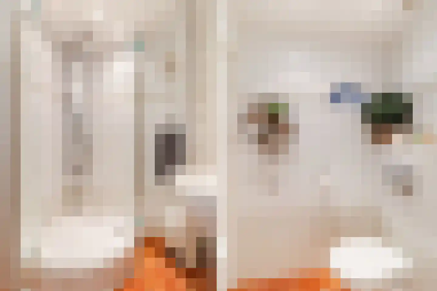 Raadhuisstraat 46 Zuidland thumbnail 37