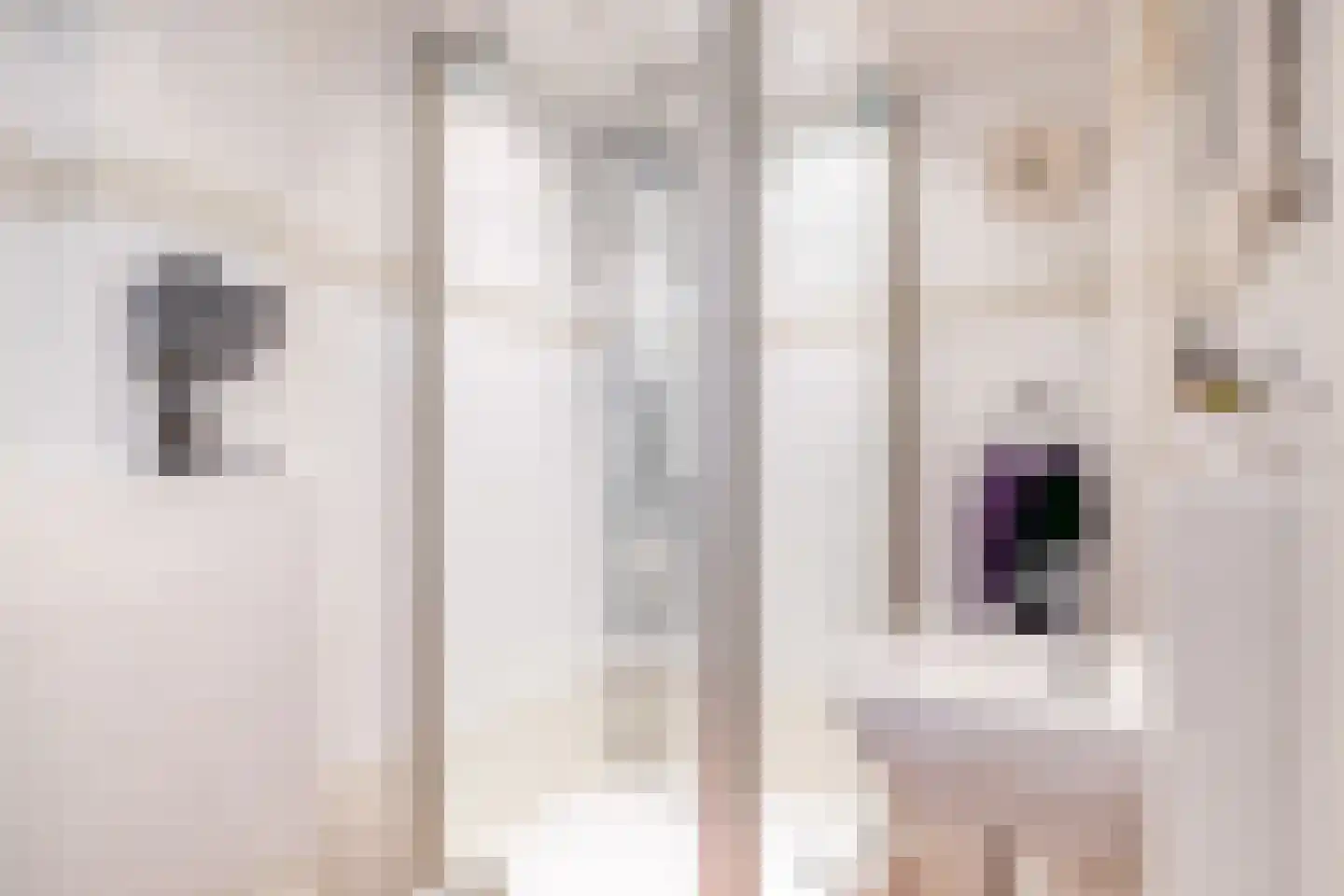Raadhuisstraat 46 Zuidland thumbnail 37
