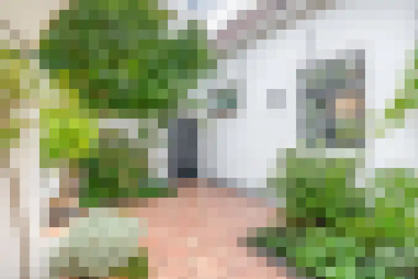 Raadhuisstraat 46 Zuidland thumbnail 38