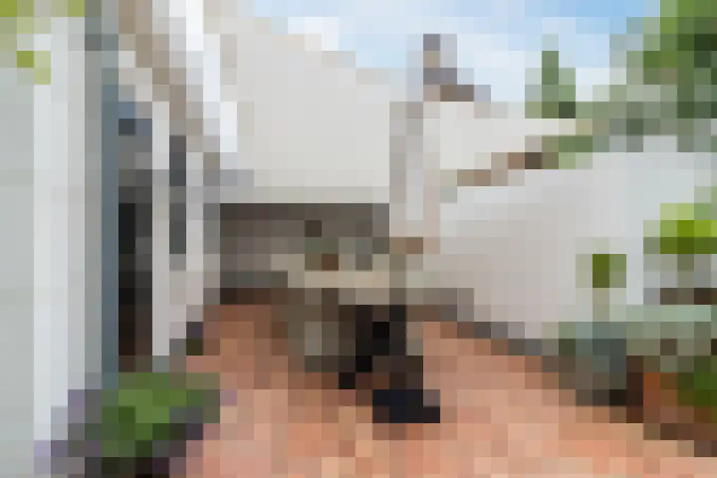 Raadhuisstraat 46 Zuidland thumbnail 38