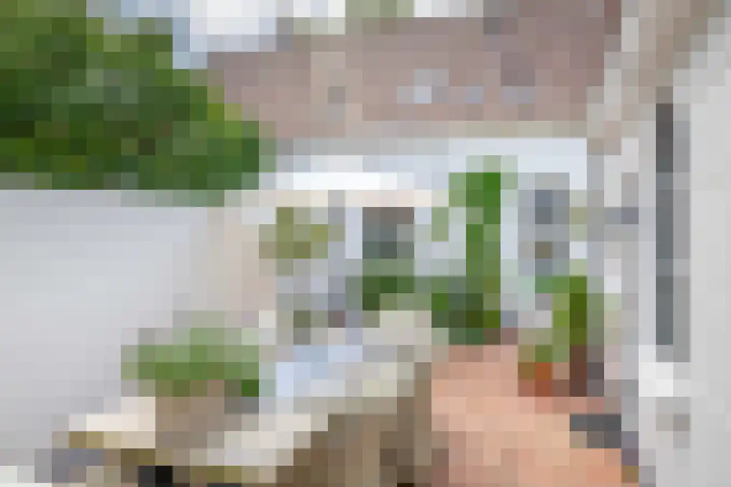 Raadhuisstraat 46 Zuidland thumbnail 39