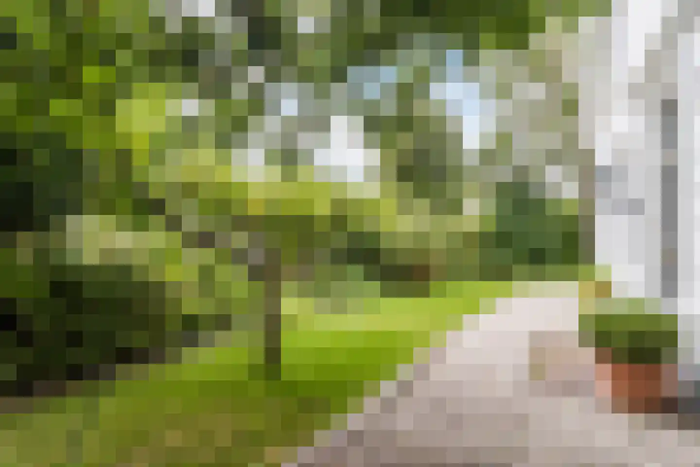 Raadhuisstraat 46 Zuidland thumbnail 4