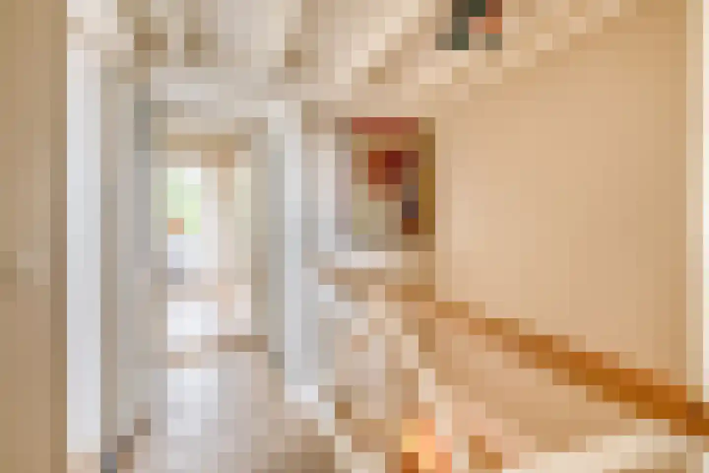 Raadhuisstraat 46 Zuidland thumbnail 42