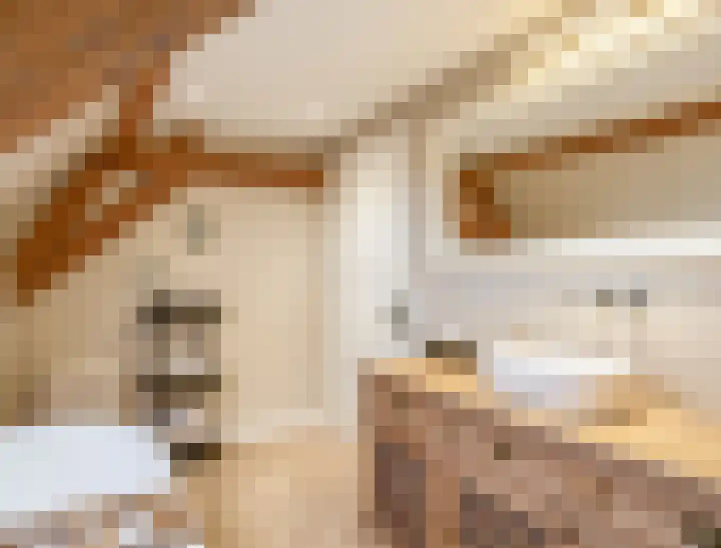 Raadhuisstraat 46 Zuidland thumbnail 44