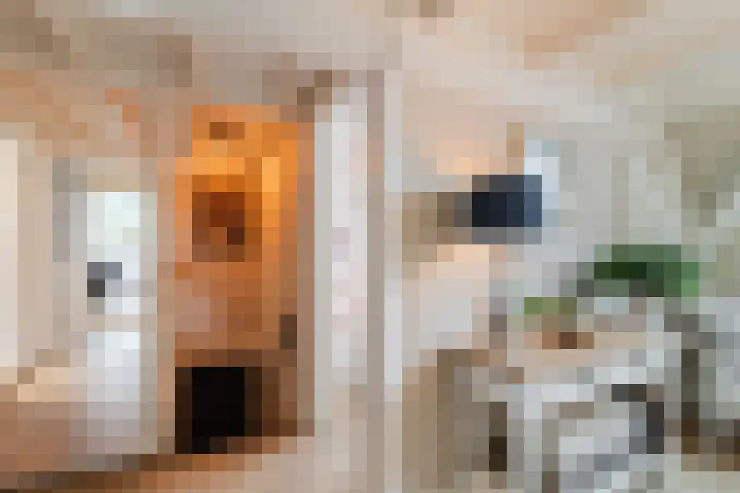 Raadhuisstraat 46 Zuidland thumbnail 45