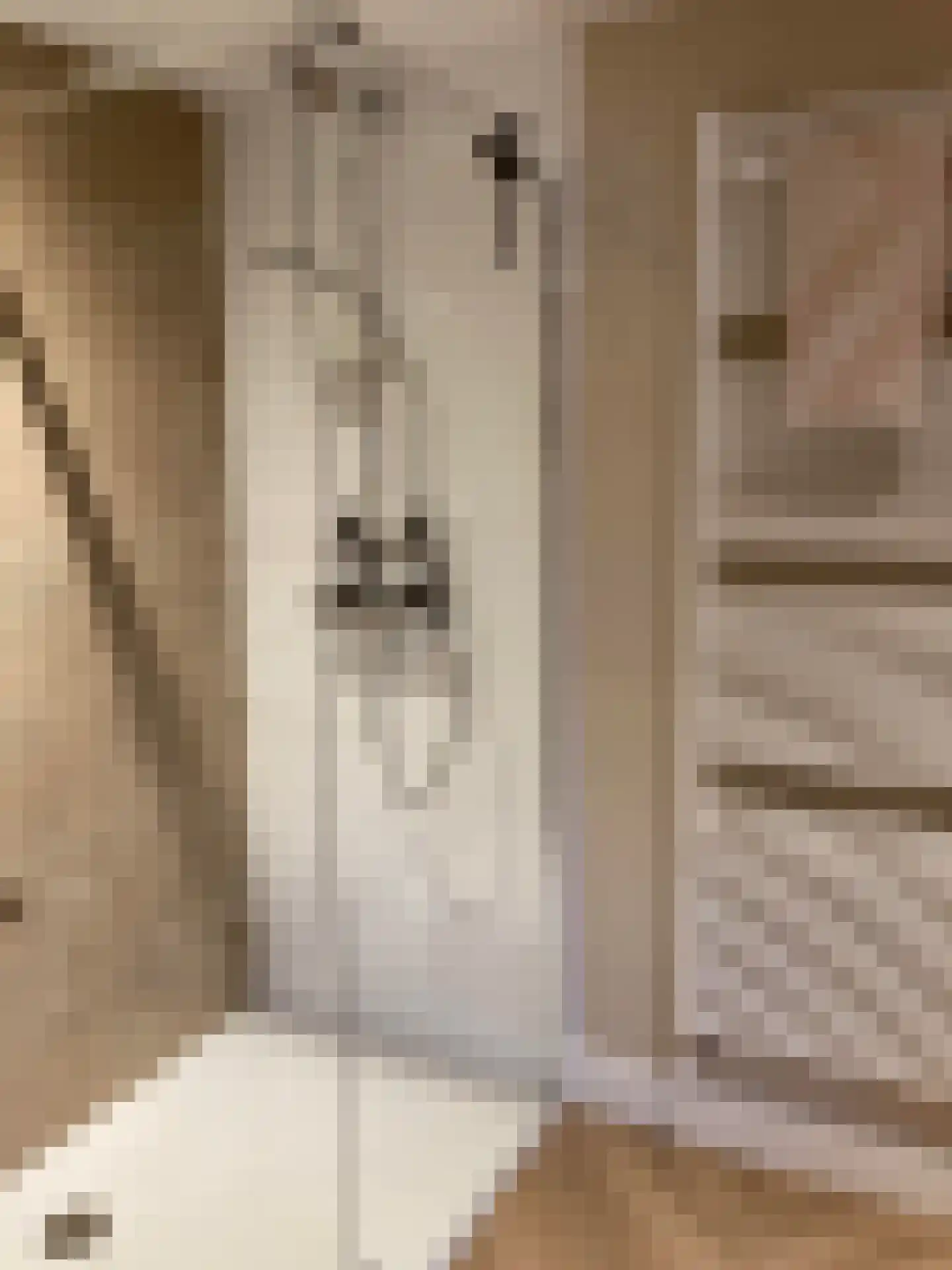 Raadhuisstraat 46 Zuidland thumbnail 46
