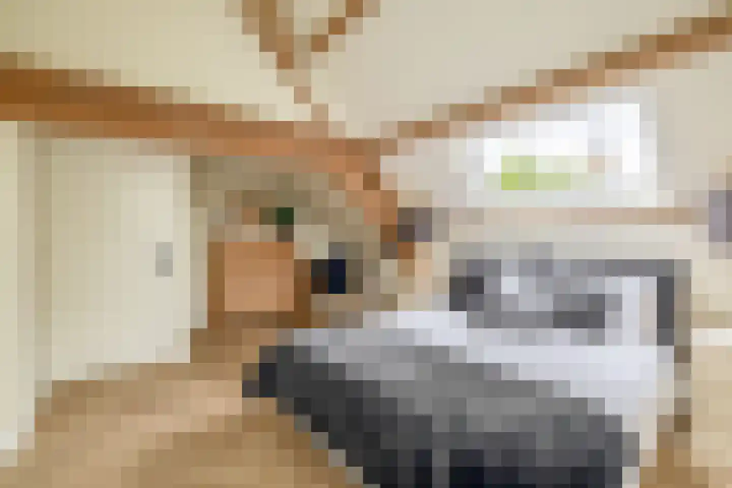 Raadhuisstraat 46 Zuidland thumbnail 47