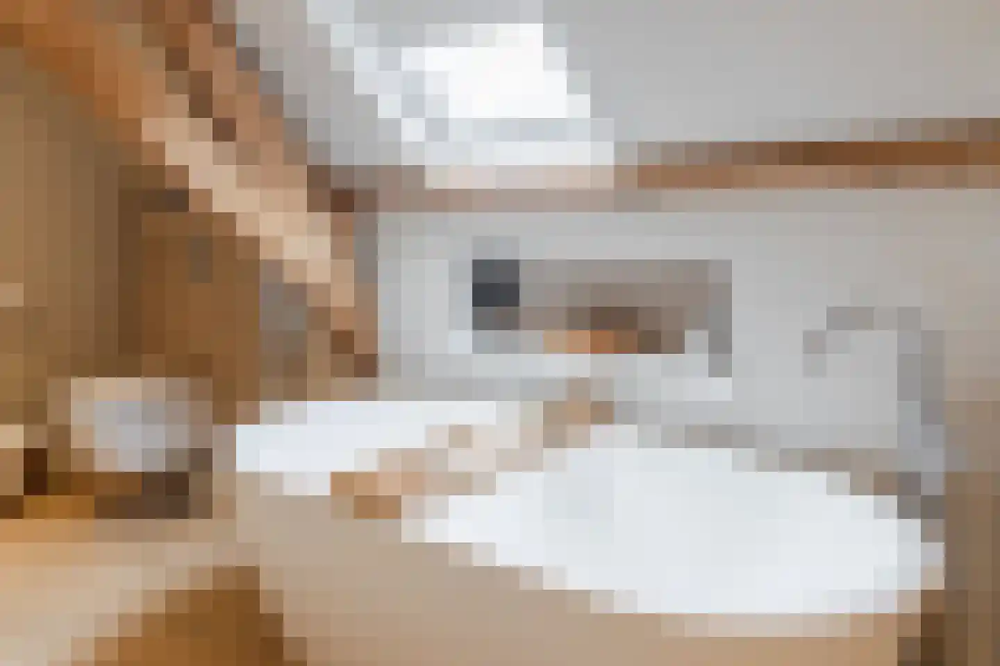 Raadhuisstraat 46 Zuidland thumbnail 49