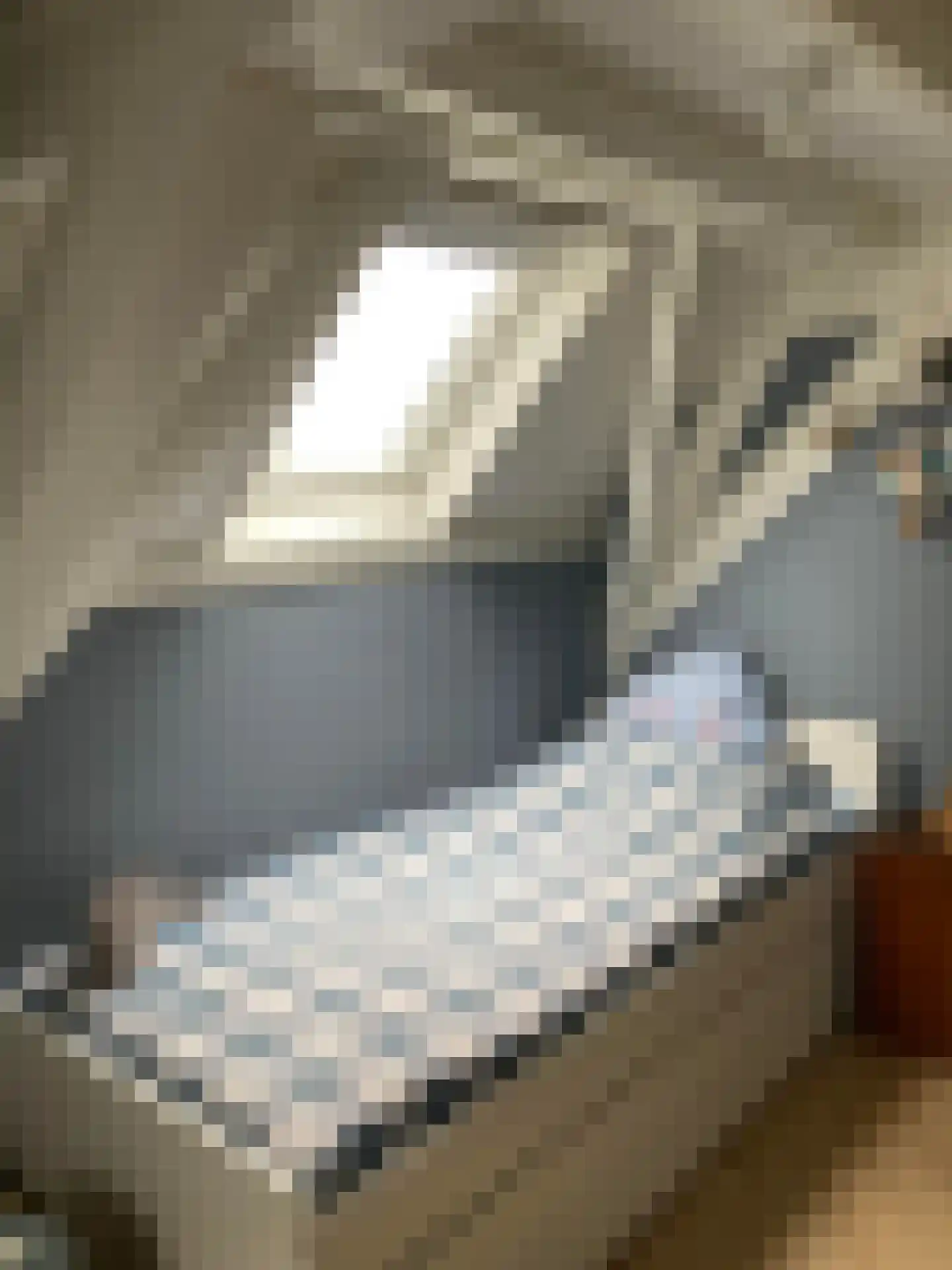 Raadhuisstraat 46 Zuidland thumbnail 49