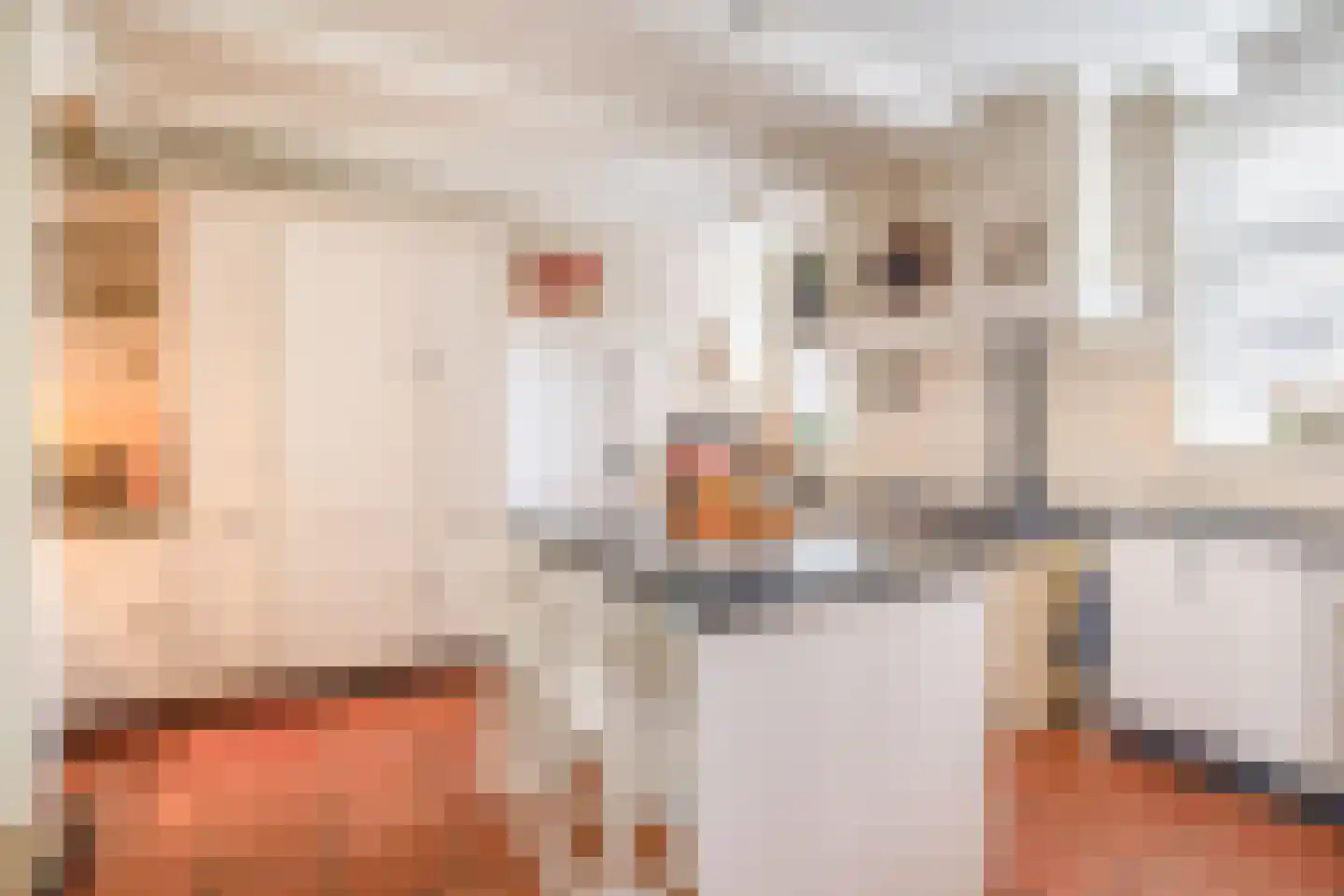 Raadhuisstraat 46 Zuidland thumbnail 5