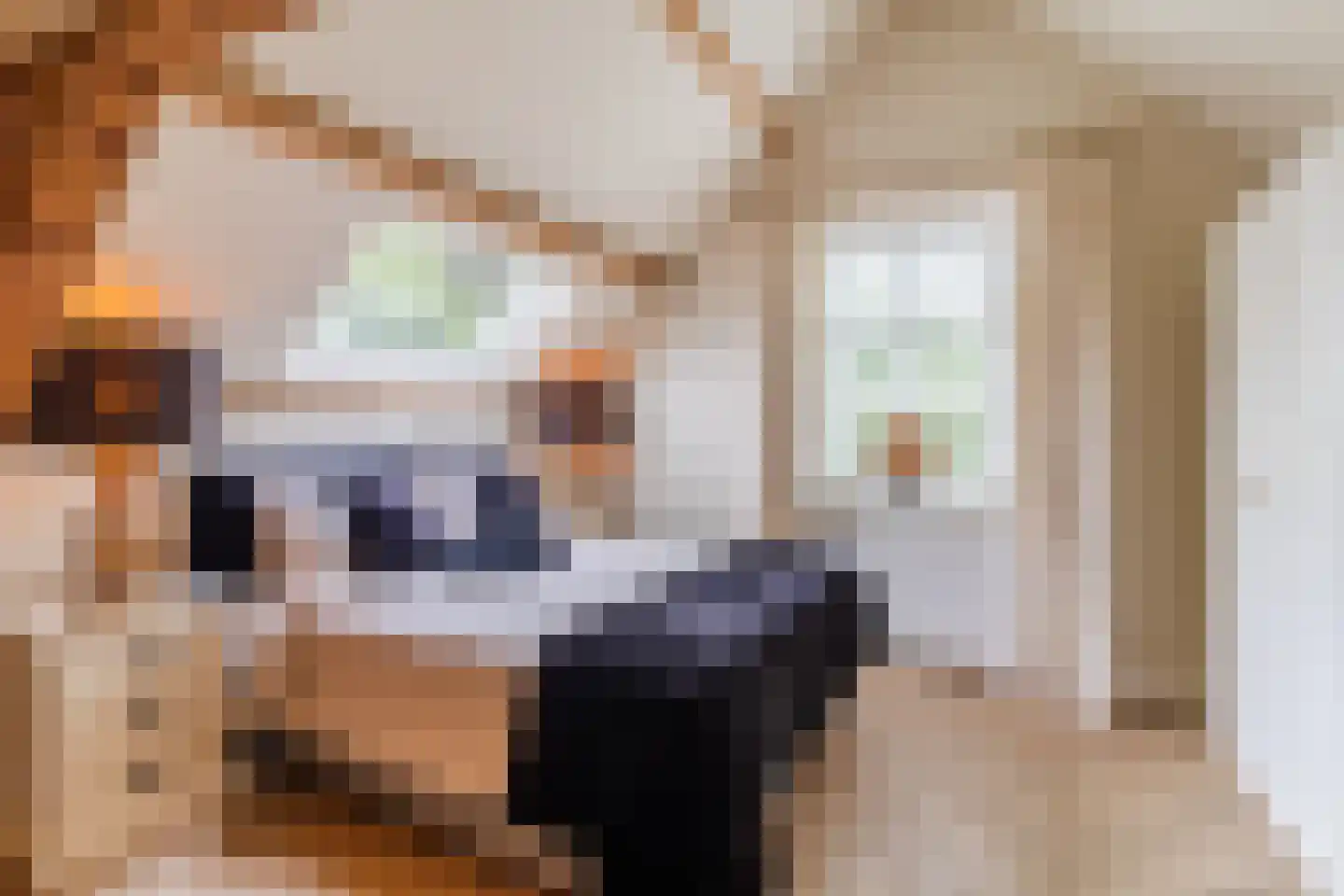 Raadhuisstraat 46 Zuidland thumbnail 51
