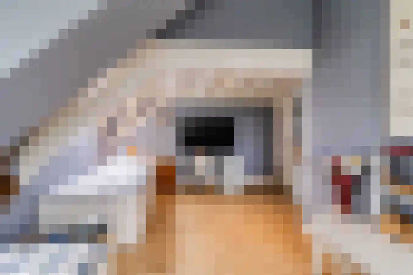 Raadhuisstraat 46 Zuidland thumbnail 56