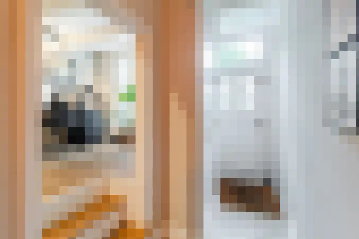 Raadhuisstraat 46 Zuidland thumbnail 6